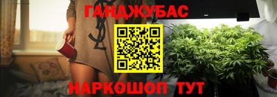 амф Донской