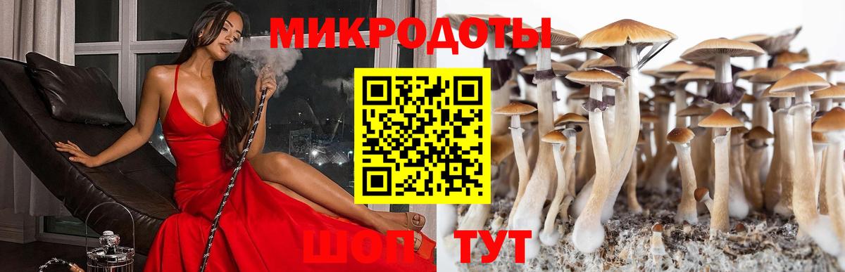 Кольчугино  Галлюциногенные грибы прущие грибы  Вход с VPN 